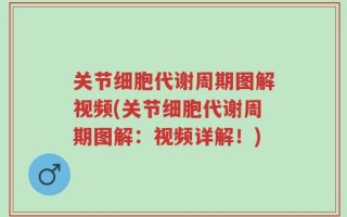 关节细胞代谢周期图解视频(关节细胞代谢周期图解：视频详解！)