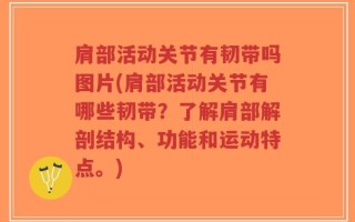 肩部活动关节有韧带吗图片(肩部活动关节有哪些韧带？了解肩部解剖结构、功能和运动特点。)