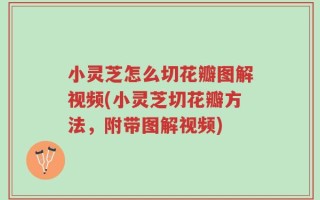 小灵芝怎么切花瓣图解视频(小灵芝切花瓣方法，附带图解视频)