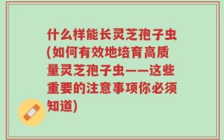什么样能长灵芝孢子虫(如何有效地培育高质量灵芝孢子虫——这些重要的注意事项你必须知道)