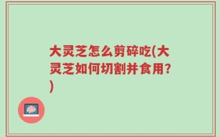 大灵芝怎么剪碎吃(大灵芝如何切割并食用？)