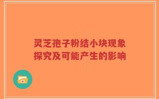 灵芝孢子粉结小块现象探究及可能产生的影响