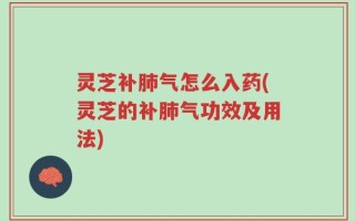 灵芝补肺气怎么入药(灵芝的补肺气功效及用法)