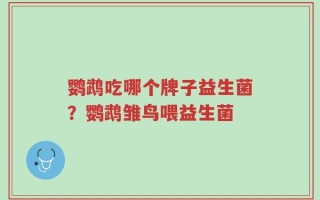 鹦鹉吃哪个牌子益生菌？鹦鹉雏鸟喂益生菌