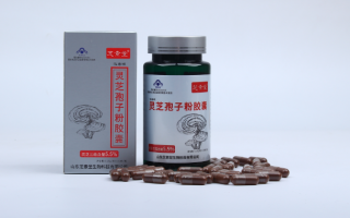 灵芝孢子粉提高免疫力怎么样？见效快嘛？
