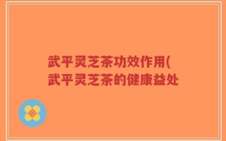 武平灵芝茶功效作用(武平灵芝茶的健康益处