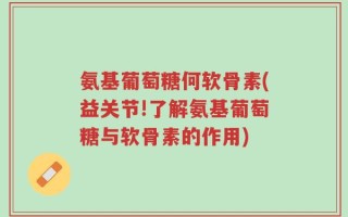 氨基葡萄糖何软骨素(益关节!了解氨基葡萄糖与软骨素的作用)