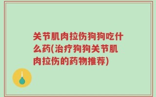 关节肌肉拉伤狗狗吃什么药(治疗狗狗关节肌肉拉伤的药物推荐)