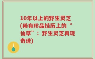 10年以上的野生灵芝(稀有珍品挂历上的“仙草”：野生灵芝再现奇迹)
