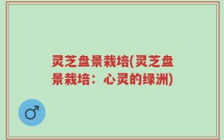 灵芝盘景栽培(灵芝盘景栽培：心灵的绿洲)