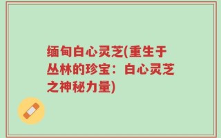 缅甸白心灵芝(重生于丛林的珍宝：白心灵芝之神秘力量)