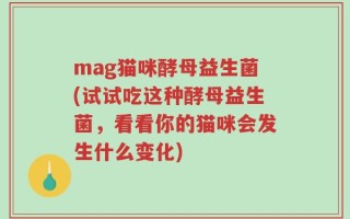 mag猫咪酵母益生菌(试试吃这种酵母益生菌，看看你的猫咪会发生什么变化)