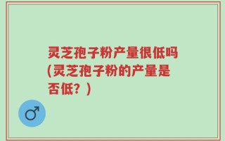 灵芝孢子粉产量很低吗(灵芝孢子粉的产量是否低？)