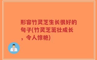 形容竹灵芝生长很好的句子(竹灵芝茁壮成长，令人惊艳)
