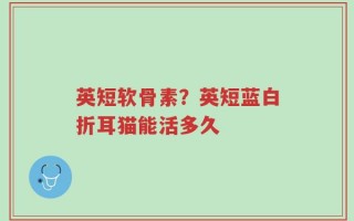 英短软骨素？英短蓝白折耳猫能活多久