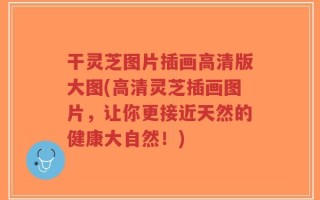 干灵芝图片插画高清版大图(高清灵芝插画图片，让你更接近天然的健康大自然！)