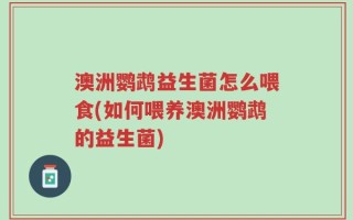 澳洲鹦鹉益生菌怎么喂食(如何喂养澳洲鹦鹉的益生菌)