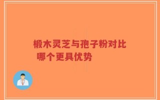椴木灵芝与孢子粉对比 哪个更具优势