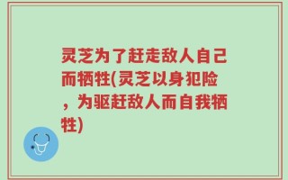 灵芝为了赶走敌人自己而牺牲(灵芝以身犯险，为驱赶敌人而自我牺牲)