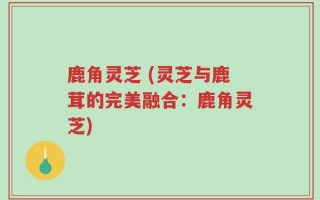 鹿角灵芝 (灵芝与鹿茸的完美融合：鹿角灵芝)