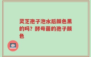 灵芝孢子泡水后颜色黑的吗？酵母菌的孢子颜色
