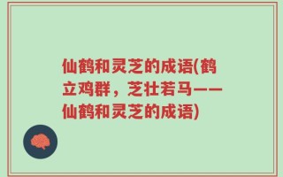 仙鹤和灵芝的成语(鹤立鸡群，芝壮若马——仙鹤和灵芝的成语)