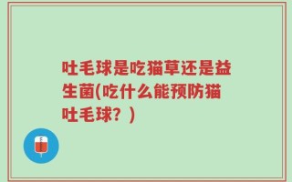 吐毛球是吃猫草还是益生菌(吃什么能预防猫吐毛球？)