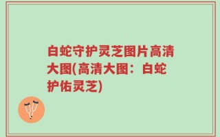 白蛇守护灵芝图片高清大图(高清大图：白蛇护佑灵芝)