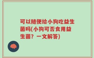 可以随便给小狗吃益生菌吗(小狗可否食用益生菌？一文解答)