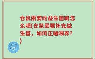 仓鼠需要吃益生菌嘛怎么喂(仓鼠需要补充益生菌，如何正确喂养？)