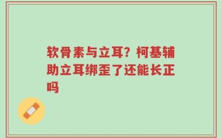 软骨素与立耳？柯基辅助立耳绑歪了还能长正吗