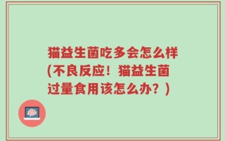 猫益生菌吃多会怎么样(不良反应！猫益生菌过量食用该怎么办？)