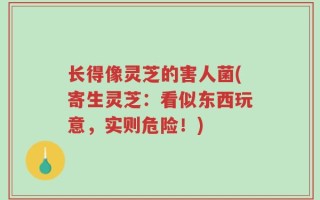 长得像灵芝的害人菌(寄生灵芝：看似东西玩意，实则危险！)