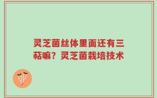 灵芝菌丝体里面还有三萜嘛？灵芝菌栽培技术