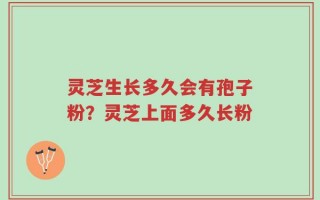 灵芝生长多久会有孢子粉？灵芝上面多久长粉