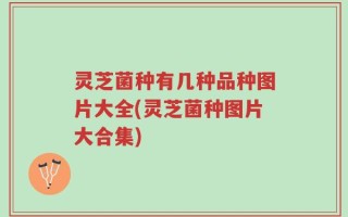 灵芝菌种有几种品种图片大全(灵芝菌种图片大合集)