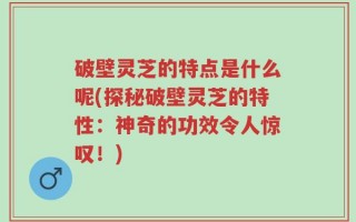 破壁灵芝的特点是什么呢(探秘破壁灵芝的特性：神奇的功效令人惊叹！)