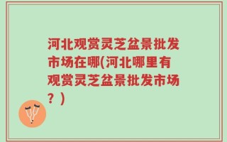 河北观赏灵芝盆景批发市场在哪(河北哪里有观赏灵芝盆景批发市场？)