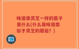 味道像灵芝一样的菌子是什么(什么是味道类似于灵芝的蘑菇？)