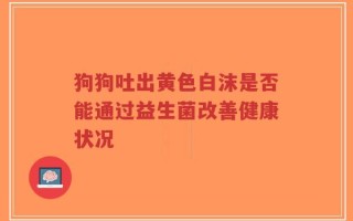 狗狗吐出黄色白沫是否能通过益生菌改善健康状况