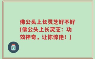 佛公头上长灵芝好不好(佛公头上长灵芝：功效神奇，让你惊艳！)