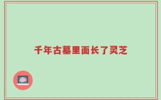 千年古墓里面长了灵芝