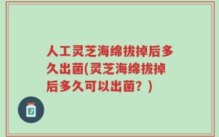 人工灵芝海绵拔掉后多久出菌(灵芝海绵拔掉后多久可以出菌？)