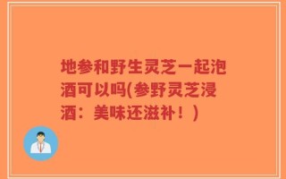 地参和野生灵芝一起泡酒可以吗(参野灵芝浸酒：美味还滋补！)