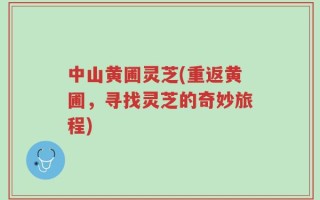 中山黄圃灵芝(重返黄圃，寻找灵芝的奇妙旅程)