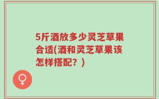 5斤酒放多少灵芝草果合适(酒和灵芝草果该怎样搭配？)