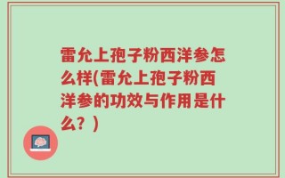 雷允上孢子粉西洋参怎么样(雷允上孢子粉西洋参的功效与作用是什么？)