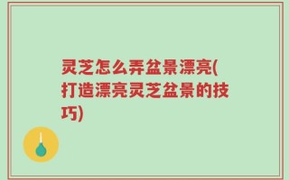 灵芝怎么弄盆景漂亮(打造漂亮灵芝盆景的技巧)