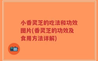 小香灵芝的吃法和功效图片(香灵芝的功效及食用方法详解)