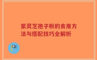 紫灵芝孢子粉的食用方法与搭配技巧全解析